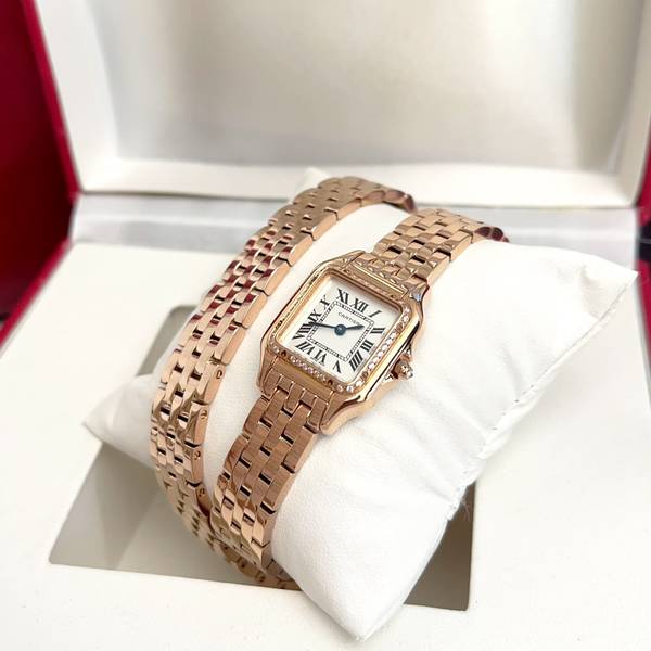 Cartier Watch CTW00719