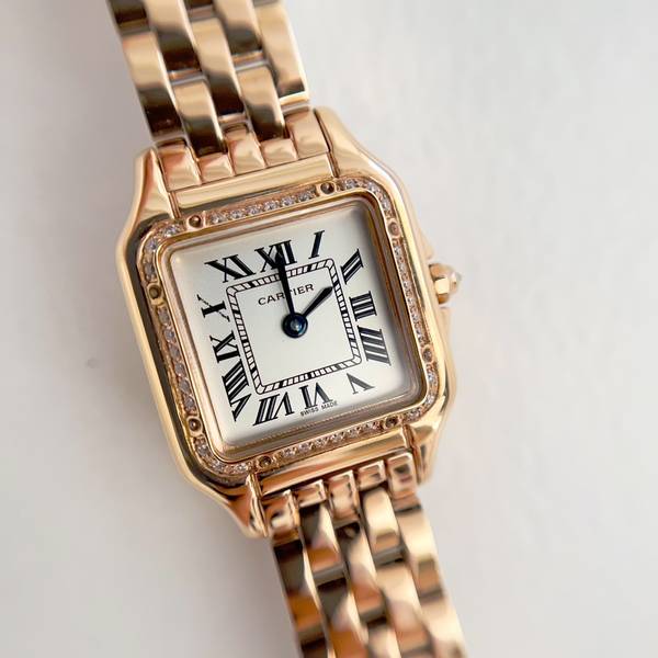 Cartier Watch CTW00719