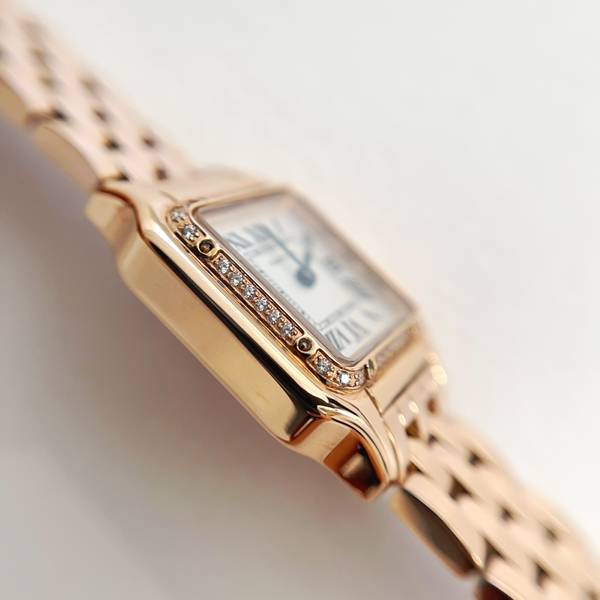 Cartier Watch CTW00719