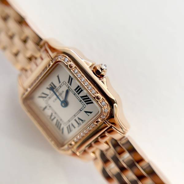 Cartier Watch CTW00719