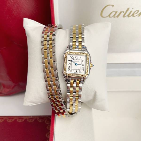 Cartier Watch CTW00720