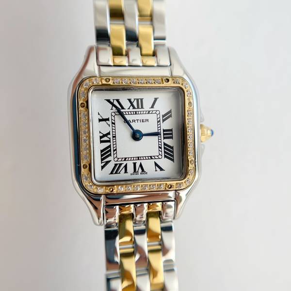 Cartier Watch CTW00720