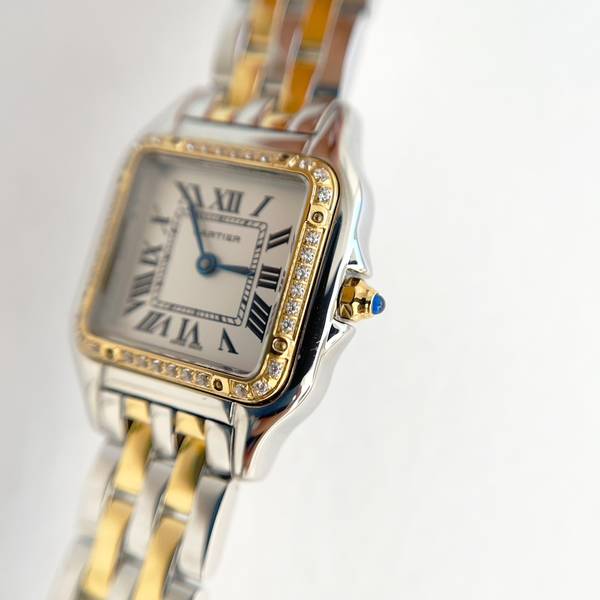 Cartier Watch CTW00720