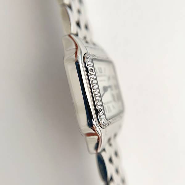 Cartier Watch CTW00721