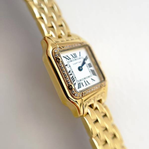 Cartier Watch CTW00722