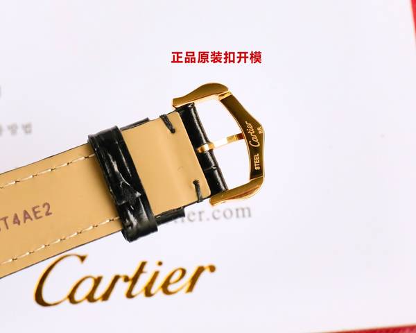 Cartier Watch CTW00729-1