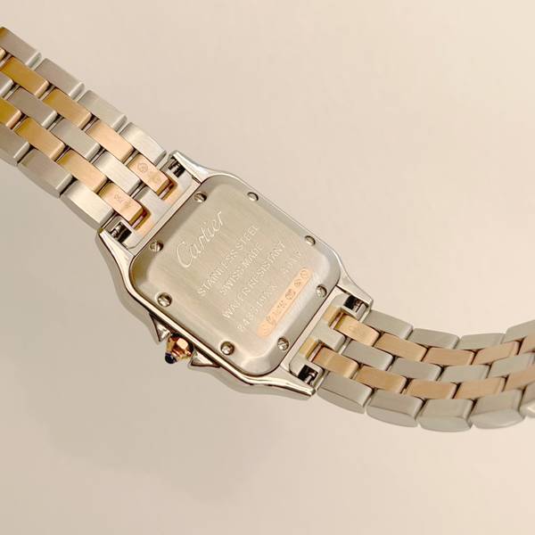 Cartier Watch CTW00732