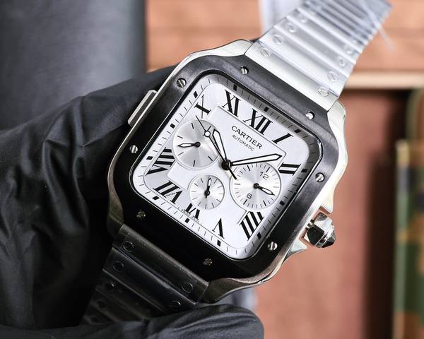 Cartier Watch CTW00749-1