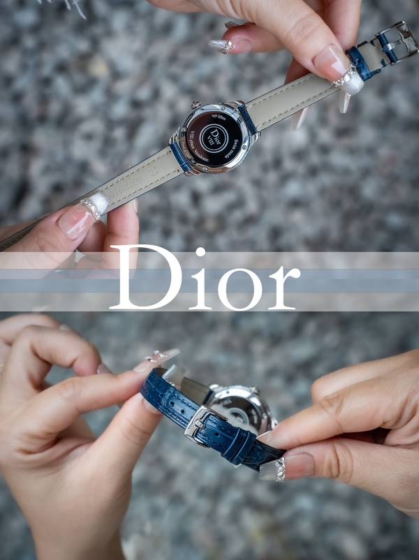 Dior Watch DRW00048-1