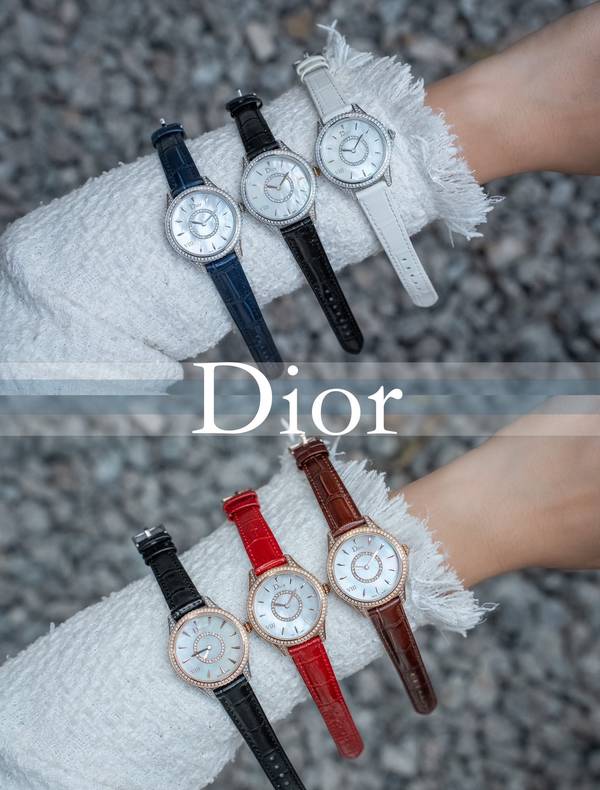 Dior Watch DRW00048-1