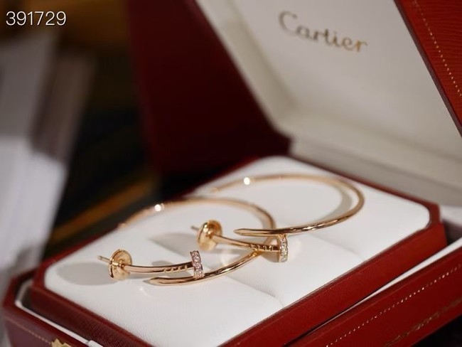 Cartier Earring CE16130