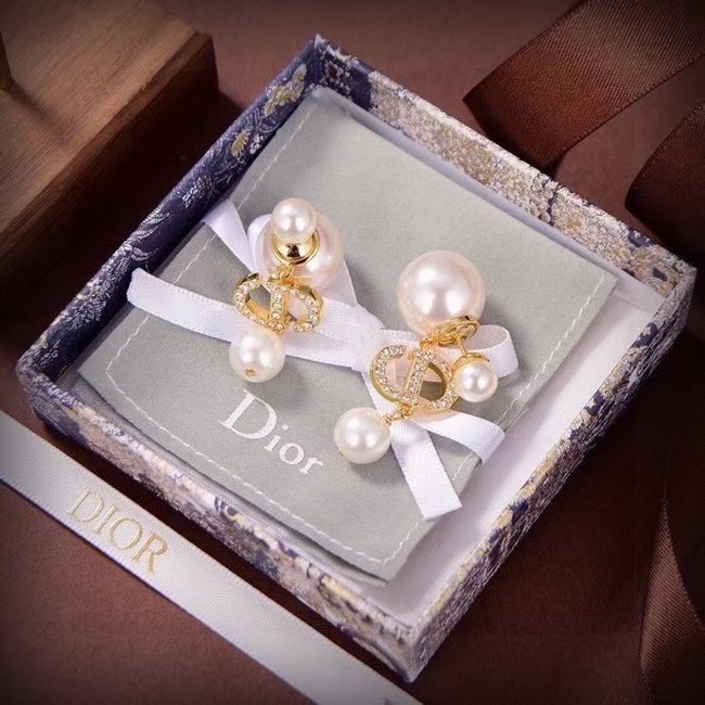 Dior Earring CE16138