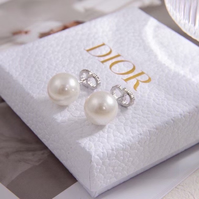 Dior Earring CE16139