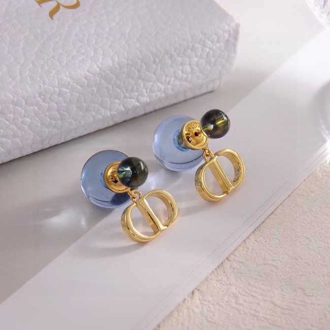 Dior Earring CE16160