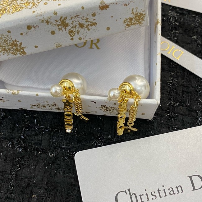 Dior Earring CE16175