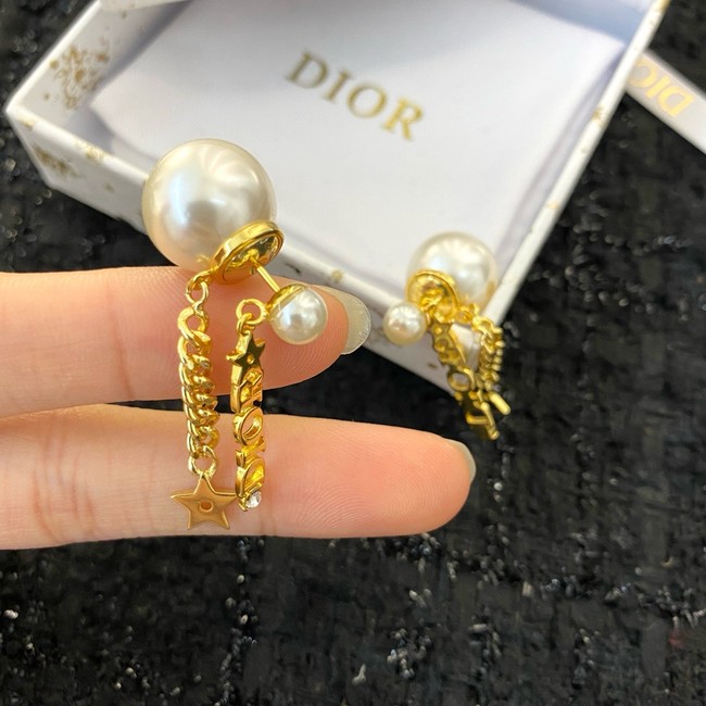 Dior Earring CE16175