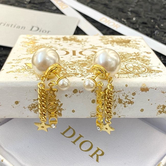 Dior Earring CE16175