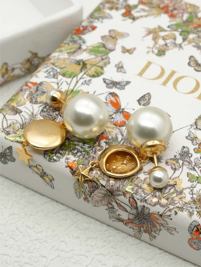 Dior Earring CE16190